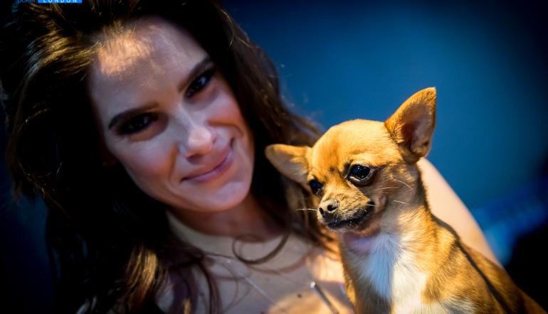 Perros Jugando al Poker